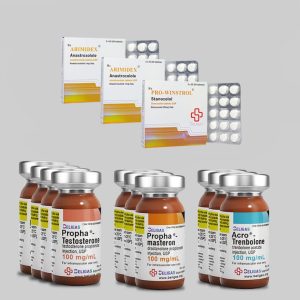 Купить онлайн комплекс препаратов Beligas 12-Week Stack Plus Anti-Estrogen