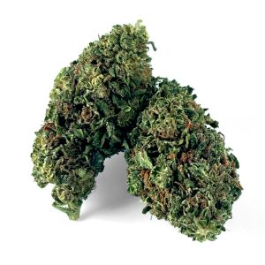 Купить 15% HIGH CBD Blüten Gelato онлайн