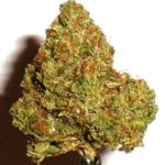 Купить сорт марихуаны 420 Kush