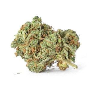 Купить сорт каннабиса Accidental Haze