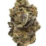 Купить сорт каннабиса Alien Cookies онлайн