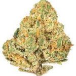 Купить штамм каннабиса Alien OG на продажу