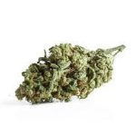 Купить сорт каннабиса Black Domina онлайн