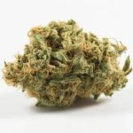 Купить сорт марихуаны Blue Dragon онлайн