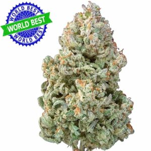 Купить Cali Haze Ms. Galaxy Indoor CBD Blüten 10g онлайн