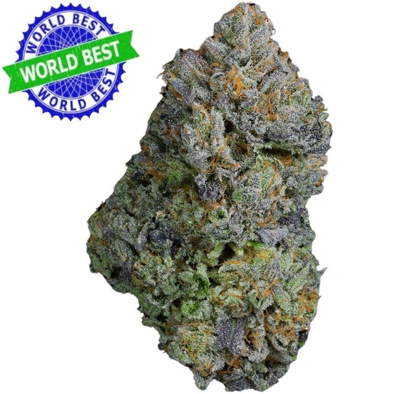 Купить Cali Haze Ms. Multiverse Indoor CBD Blüten 10 г онлайн
