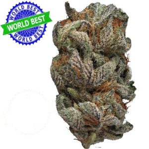 Купить Cali Haze Ms. Nebula Indoor CBD Blüten 10g онлайн