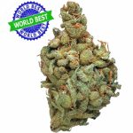 Купить Cali Haze Ms. Solar Indoor CBD Blüten 10 г онлайн