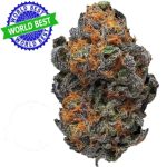 Купить Cali Haze Ms. Universe Indoor CBD Blüten 10 г