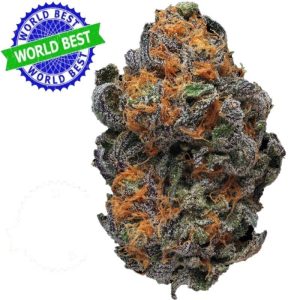 Купить Cali Haze Ms. Universe Indoor CBD Blüten 10g