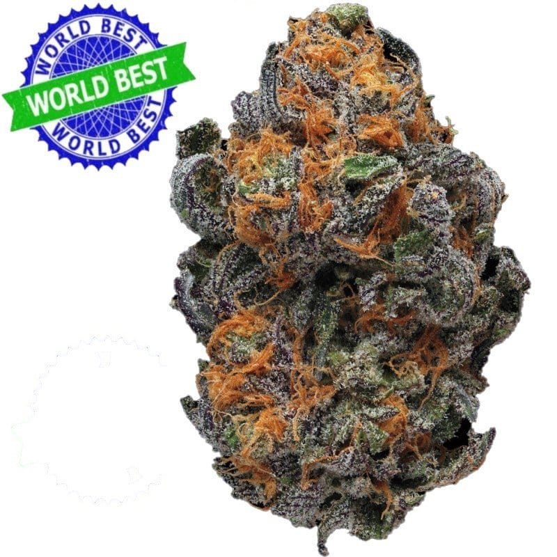 Купить Cali Haze Ms. Universe Indoor CBD Blüten 10 г