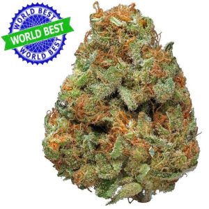 Купить Cali Haze Strawberry Indoor CBD Blüten 10 г онлайн