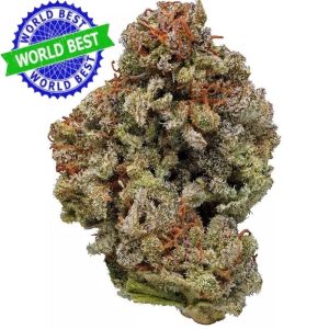 Купить Cali Haze White Widow Indoor CBD Blüten 10g