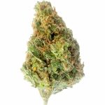 Купить California Durban Poison Indoor CBD Blüten 10 г онлайн
