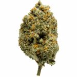 Купить California Sherbert -C- Indoor CBD Blüten 10 г онлайн