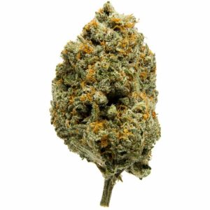 Купить California Sherbert -C- Indoor CBD Blüten 10 г онлайн