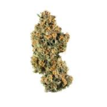 Купить сорт марихуаны Chocolate Chunk онлайн