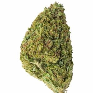 Купить Michigan Skywalker Indoor CBD Blüten 10 г онлайн