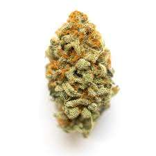Buy Panama Red Weed Strain Online