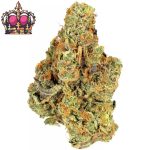 Buy Queen Canada Candy Kush Indoor CBD Blüten 10g Online