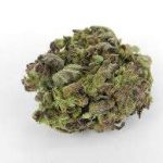 Купить сорт марихуаны «Ромулан» онлайн