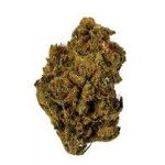 Купить сорт марихуаны Samoa в ЕС онлайн