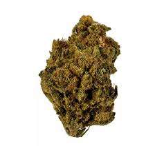 Купить сорт марихуаны Samoa в ЕС онлайн