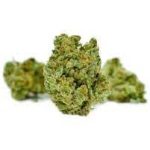 Купить сорт марихуаны Sheila онлайн