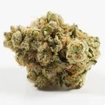 Купить сорт марихуаны Sour Banana Sherbet онлайн