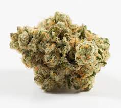 Купить сорт марихуаны Sour Banana Sherbet онлайн
