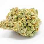 Buy Super Jack Sativa Marijuana Strain Online