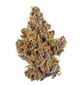 Купить сорт каннабиса The Purp онлайн