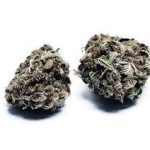 Купить вьетнамский сорт черной конопли онлайн