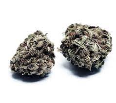 Купить вьетнамский сорт черной конопли онлайн