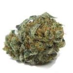 Купить сорт марихуаны William's Wonder онлайн