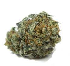 Купить сорт марихуаны William's Wonder онлайн