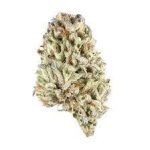 Buy Zookies Marijuana Strain online