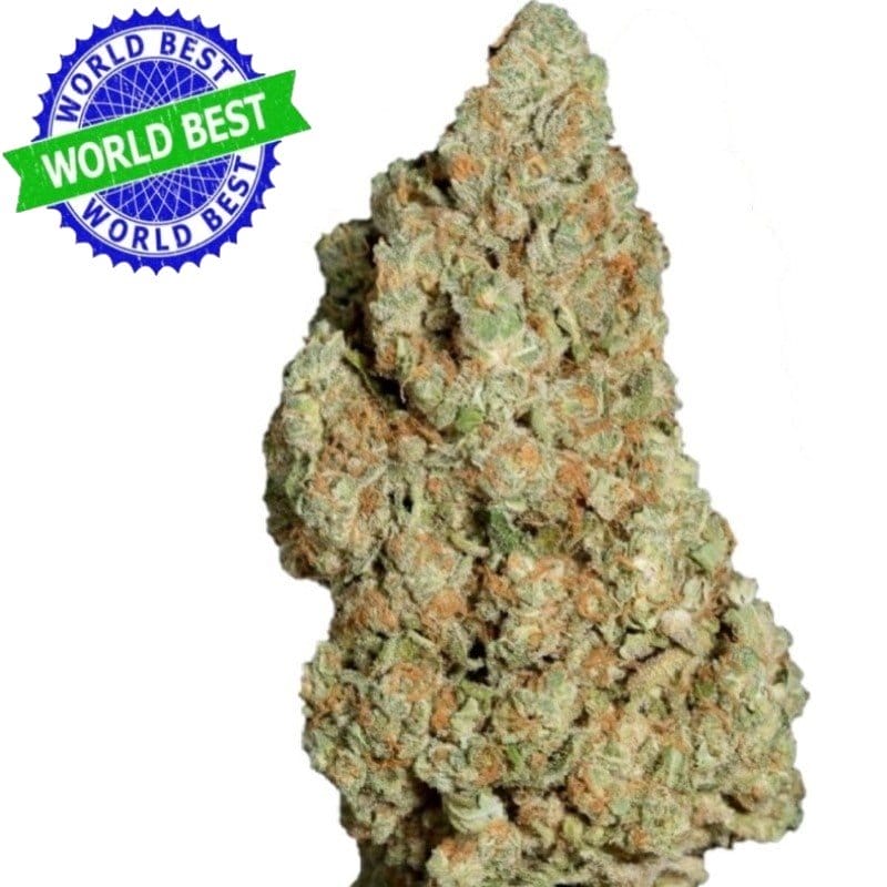 Купить Sie Cali Haze Bubblegum Indoor CBD Blüten 10 г онлайн