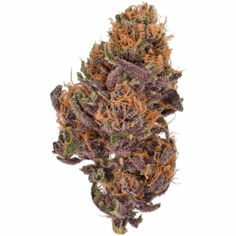 Купить Калифорнийский фиолетовый куш «Q» В помещении CBD Blüten 10 г онлайн