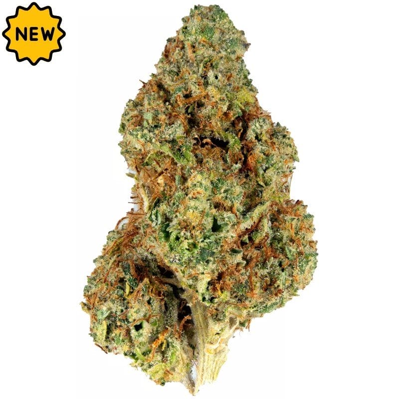 Купить Colorado Silver Haze Indoor CBD Blüten 10g онлайн