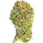 Купить Мичиган Досидос В помещении КБД Блютен 10 г онлайн