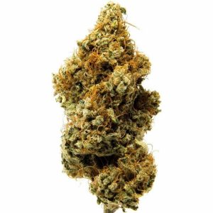 Купить Nevada AK-47 Indoor CBD Blüten 10 г онлайн