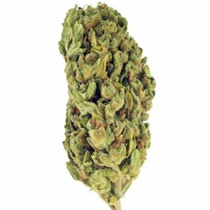 Купить Nevada Jack Herer Indoor CBD Blüten 10 г онлайн