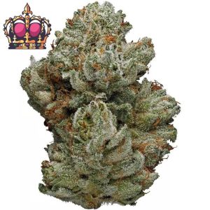 Купить Queen Canada Gelato Indoor CBD Blüten 10 г онлайн