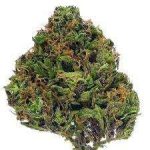 Продается сорт марихуаны Lionheart онлайн.
