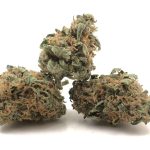 Nepalese Marijuana Strain For Sale Online