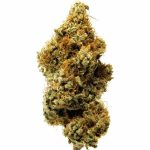 Nevada AK-47 Indoor CBD Blüten 10g For Sale Online