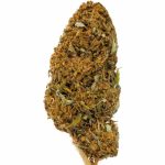 Nevada Cured Indoor CBD Blüten 10g For Sale Online