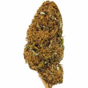 Купить Nevada Cured Indoor CBD Blüten 10g онлайн
