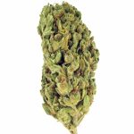 Nevada Jack Herer Indoor CBD Blüten 10g For Sale Online